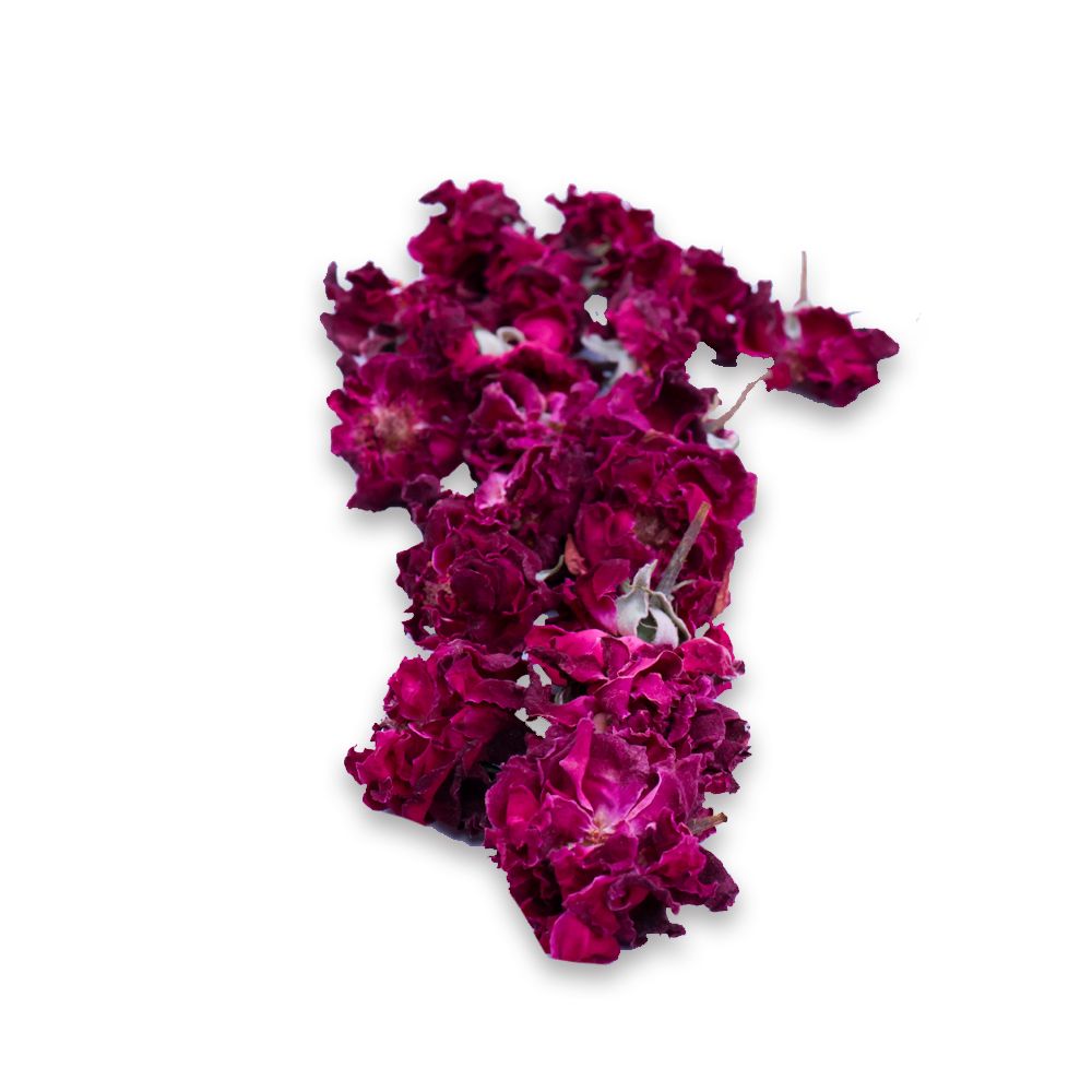 Rosa Damascena rose petals in close detail