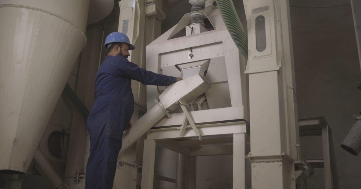 Steam distillation equipment for rose oil extraction